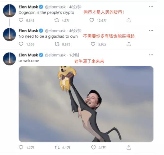 狗币涨112倍，屎币涨28万倍，这世界真魔幻  第1张