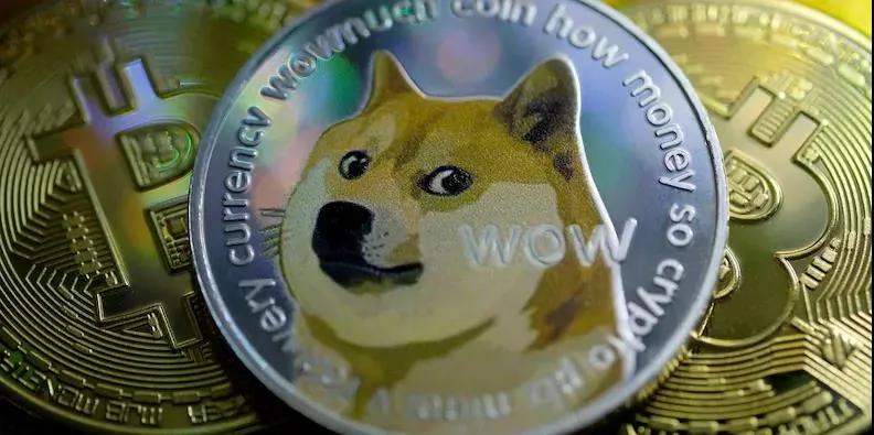 狗币涨112倍，屎币涨28万倍，这世界真魔幻  第6张