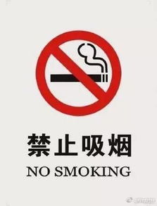 ustd在中国被禁止了,USTD在中国的禁令：技术特点与市场表现