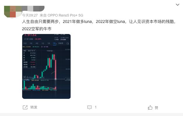 凛冬已至！“币圈茅台”从最高119.5美元跌至不足6美分，比特币年内腰斩，17万人爆仓41亿元  第7张