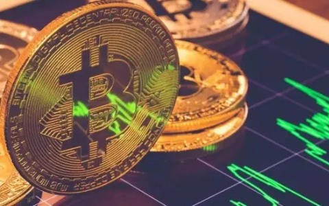 哪个外汇平台可以做比特币(比特币转账用什么软件)  第6张