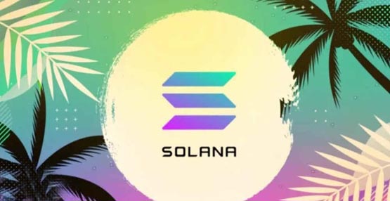 SOL链用什么钱包 SOL链常用钱包介绍