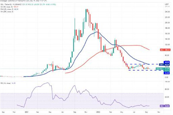 sol币今日最新价格 索拉纳币最新行情消息  第3张