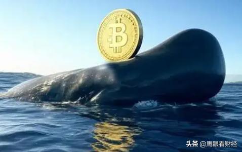 能买吗？普通人玩比特币，一夜暴富还是血本无归？答案惊人  第4张