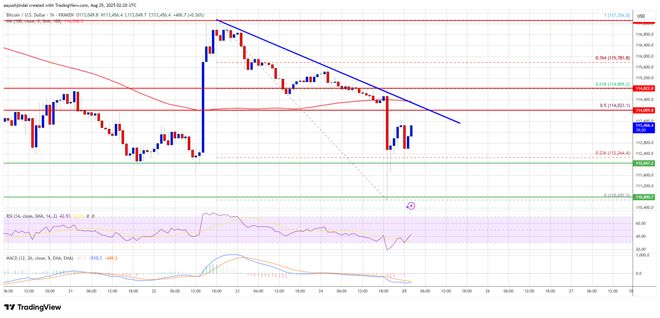 【比特日报】严重清算与高波动！比特币暴涨后回落至11.2万，恐开启新一轮下跌？  第2张