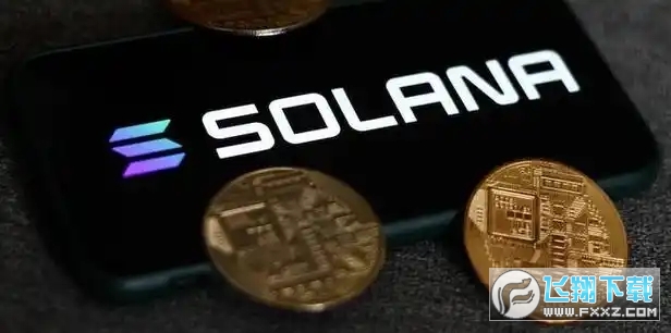 SOL或因TRUMP热潮升至高点，交易量逼近狗狗币的两倍，此时值得入手吗？  第3张