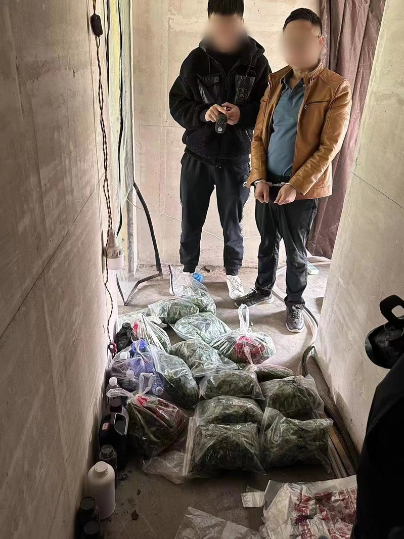 境外软件联络、异地埋包藏货、虚拟币付款，上海警方捣毁跨省贩售大麻团伙