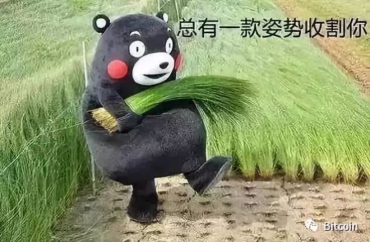 传销币横流——是监管不严还是心魔难除