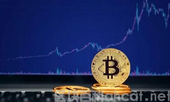 ELON币是什么币种?ELON币有没有可能涨100倍?