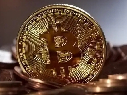 ave官网下载软件