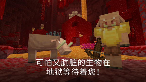我的世界PE版  第2张