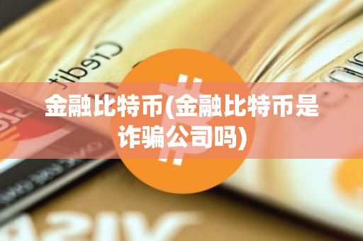 金融比特币(金融比特币是诈骗公司吗)  第2张