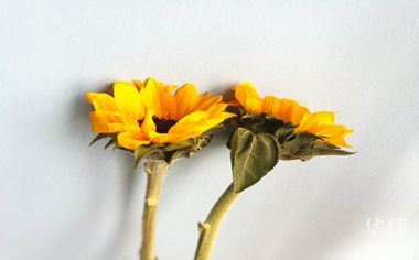 一、银行卡风控了里边的钱咋办