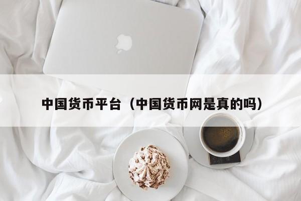 中国货币平台（中国货币网是真的吗）  第2张