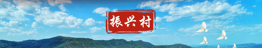 Ourbit交易所无内幕，区块链和比特币，你知道什么是“去中心化”吗？  第5张