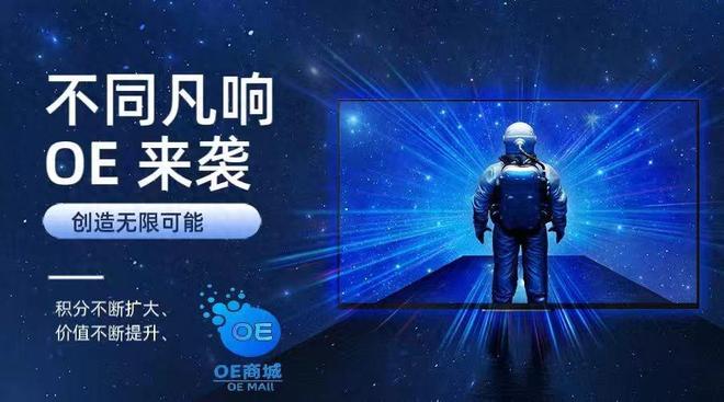 OE 商城：信息时代的创新商业典范