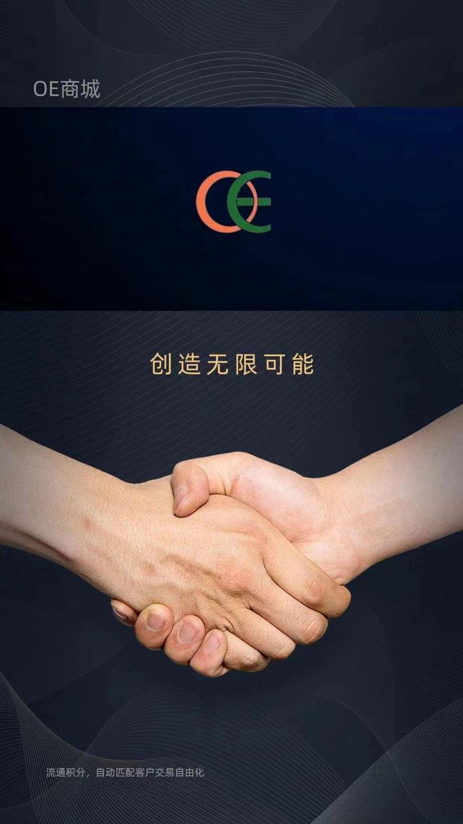 OE 商城：信息时代的创新商业典范