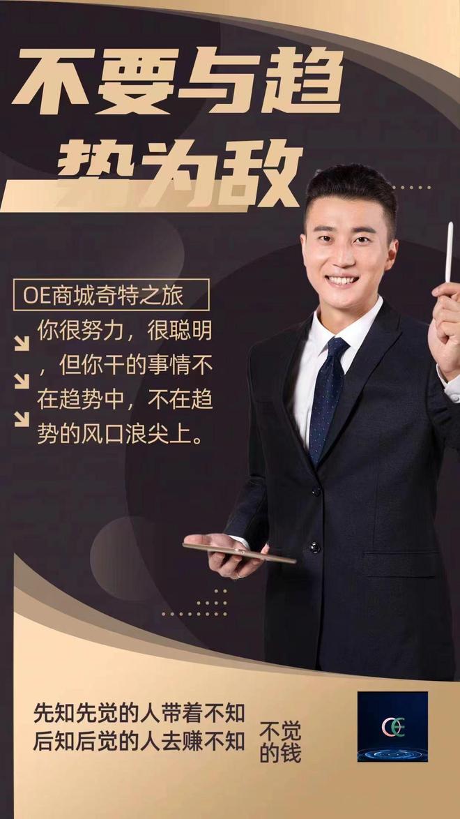 OE 商城：信息时代的创新商业典范  第5张
