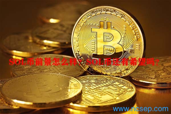 SOL币前景怎么样？SOL币还有希望吗？