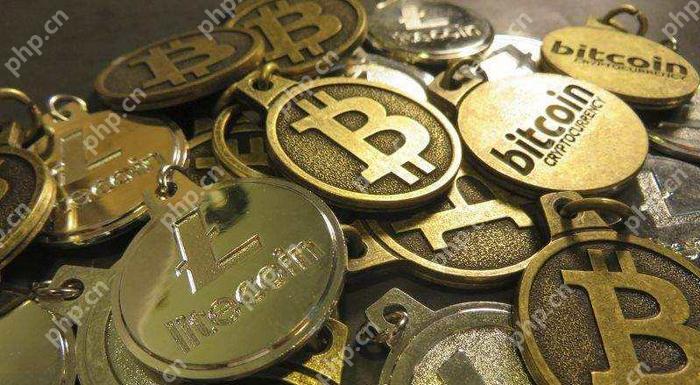 币圈十大交易所app下载最新官网版本2025  第1张